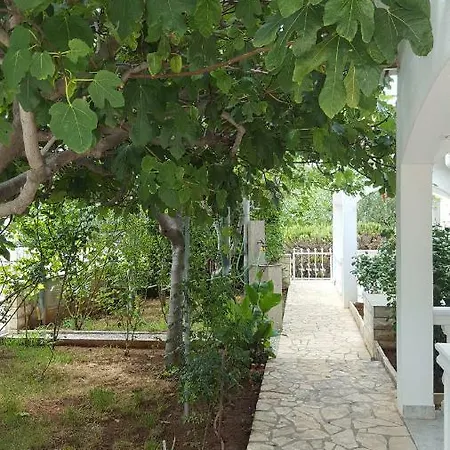 Apartments Marijeta Vir Exterior photo
